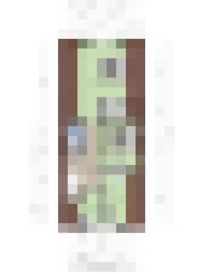 Jonker Aartendam 12 Brakel thumbnail 57