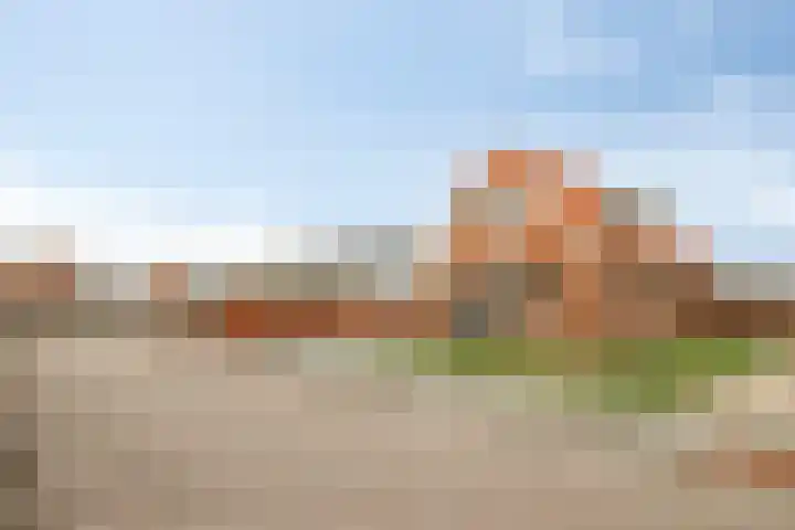 Jonker Aartendam 12 Brakel thumbnail 7