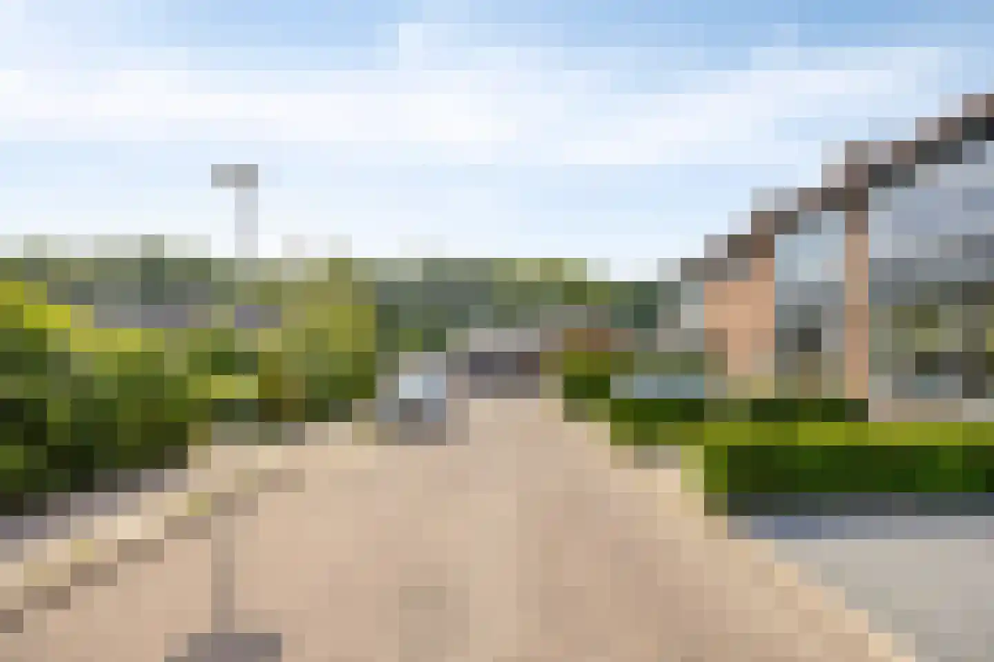 Jonker Aartendam 5 Brakel thumbnail 6