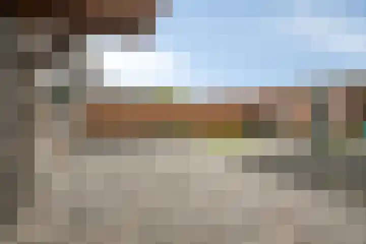 Jonker Aartendam 9 Brakel thumbnail 10