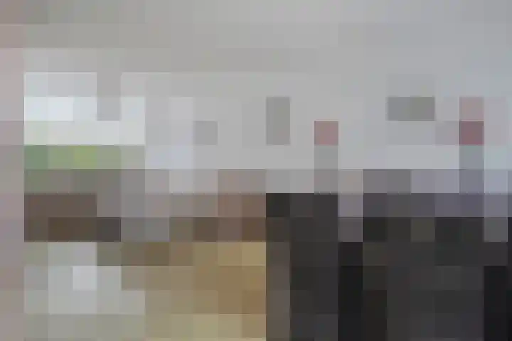 Jonker Aartendam 9 Brakel thumbnail 15