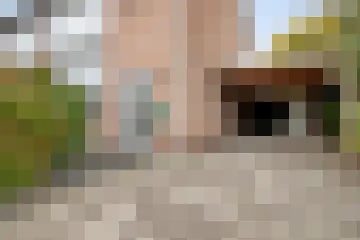 Jonker Aartendam 9 Brakel thumbnail 4