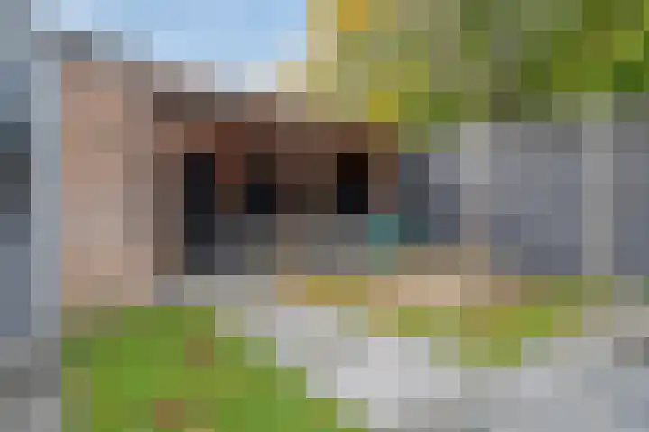 Jonker Aartendam 9 Brakel thumbnail 8
