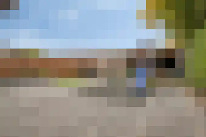 Jonker Aartendam 9 Brakel thumbnail 9