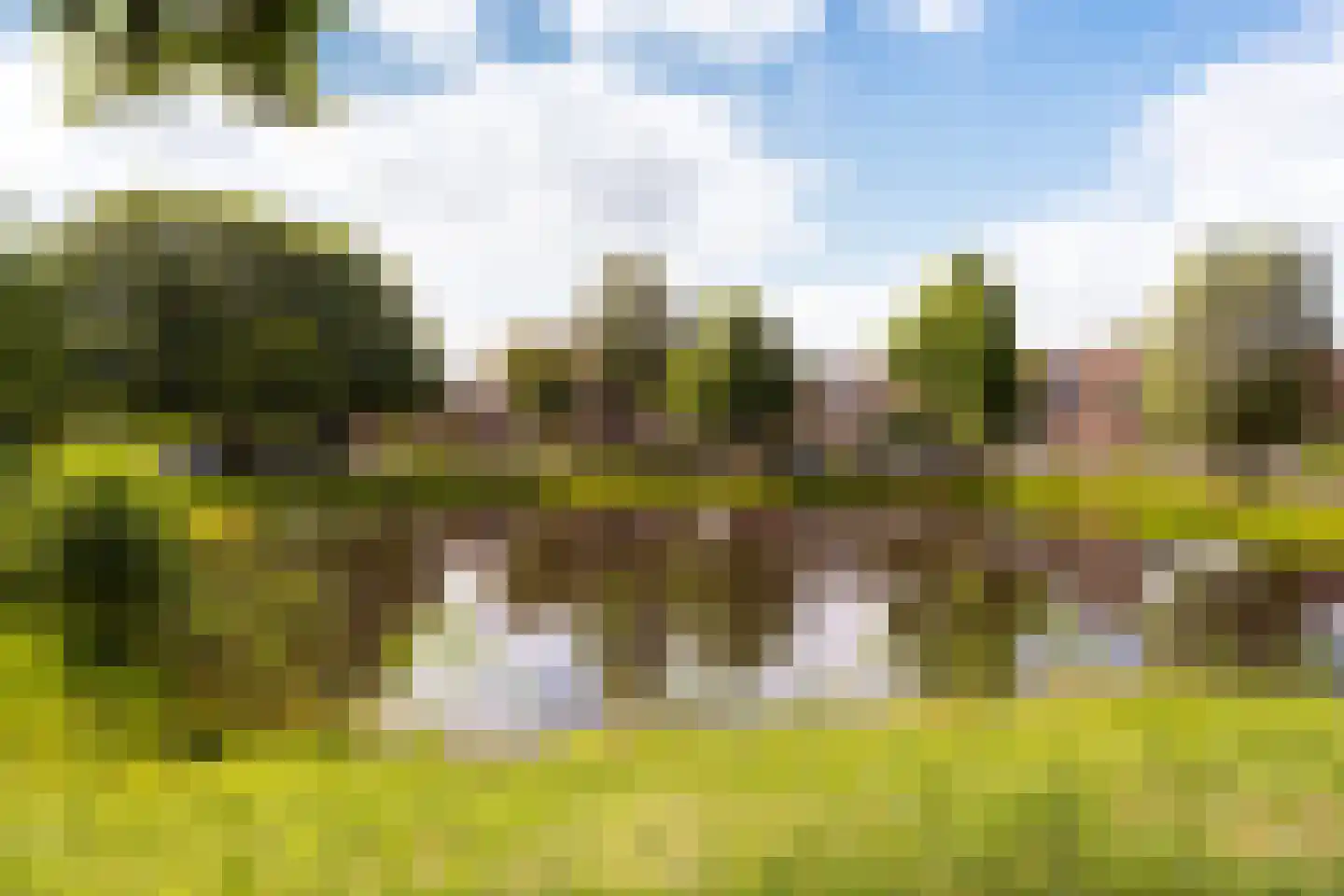 Jonker Bolpoort 23 Leusden thumbnail 5