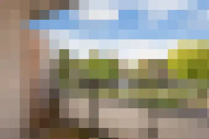 Jonker Bolpoort 31 Leusden thumbnail 4