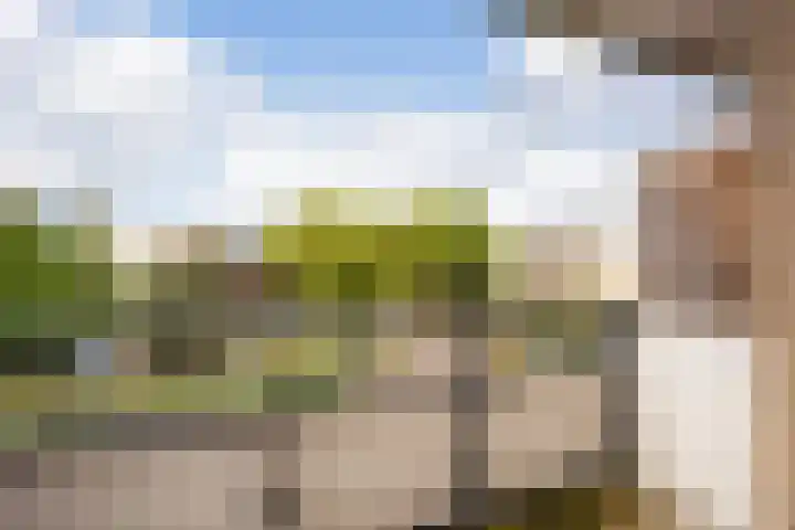 Jonker Bolpoort 33 Leusden thumbnail 17