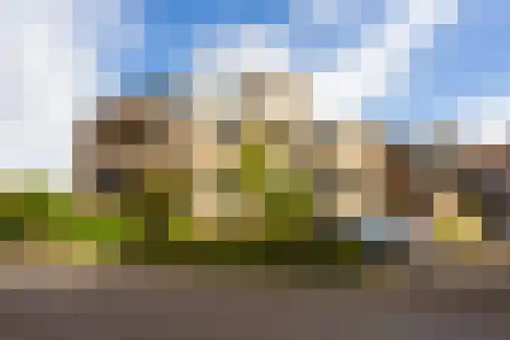 Jonker Bolpoort 33 Leusden thumbnail 31