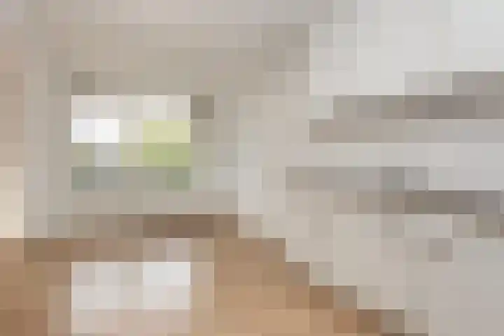 Jonker Bolpoort 33 Leusden thumbnail 4