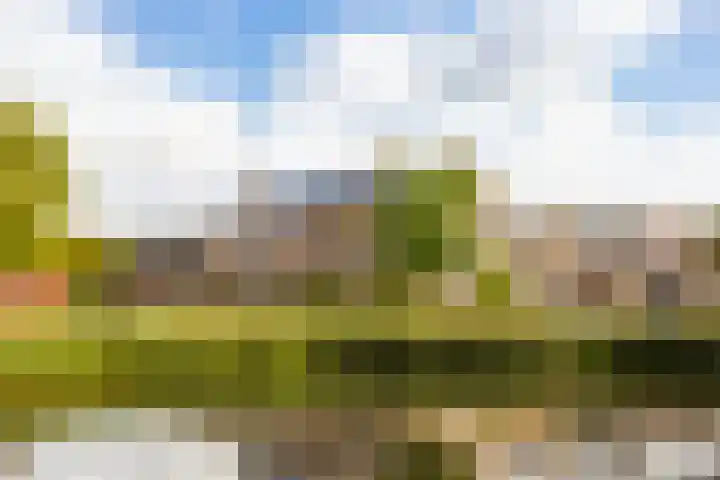 Jonker Bolpoort 33 Leusden thumbnail 6