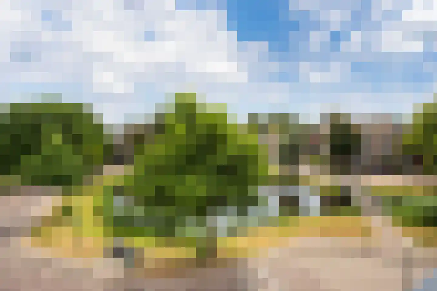 Jonker Bolpoort 38 Leusden thumbnail 15