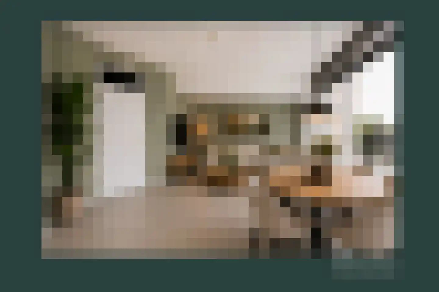 Jonker Bolpoort 38 Leusden thumbnail 8