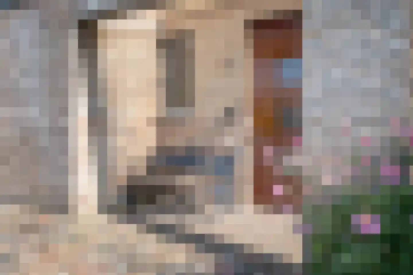 Jonker Egbert Clantsngl 2 Harkstede thumbnail 11