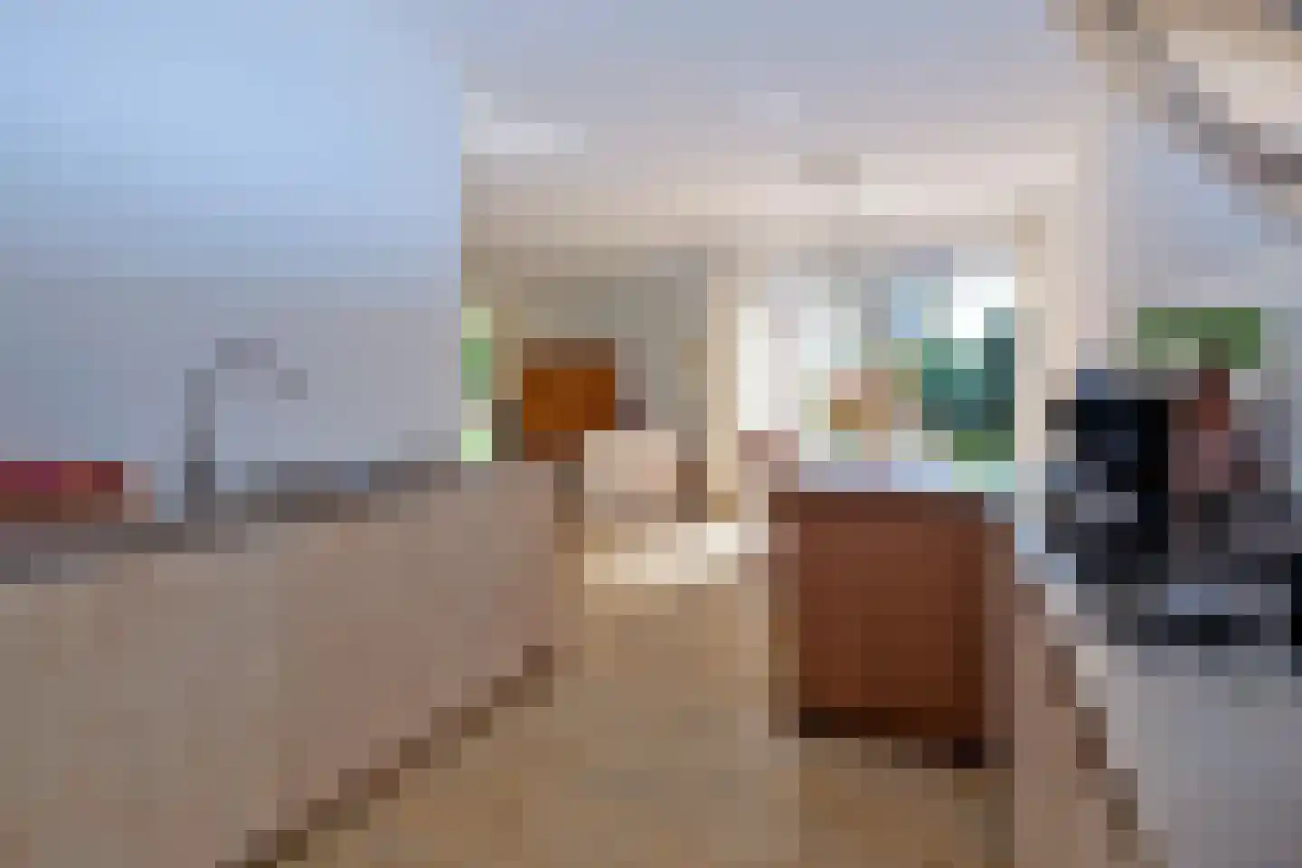 Jonker Egbert Clantsngl 2 Harkstede thumbnail 29