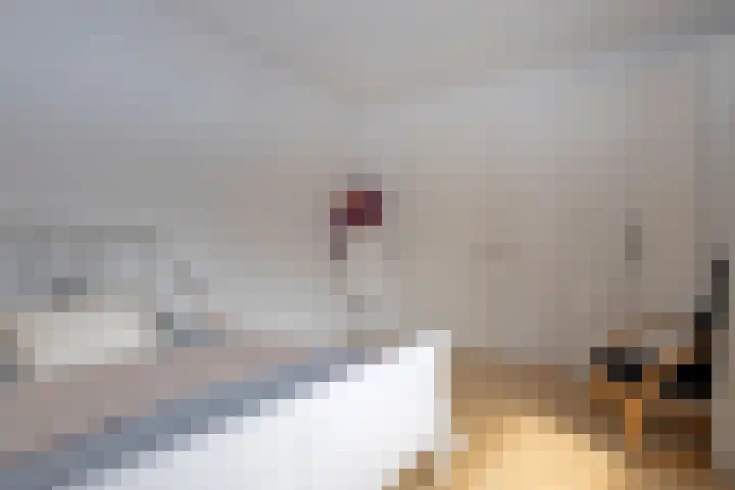 Jonker Egbert Clantsngl 2 Harkstede thumbnail 39