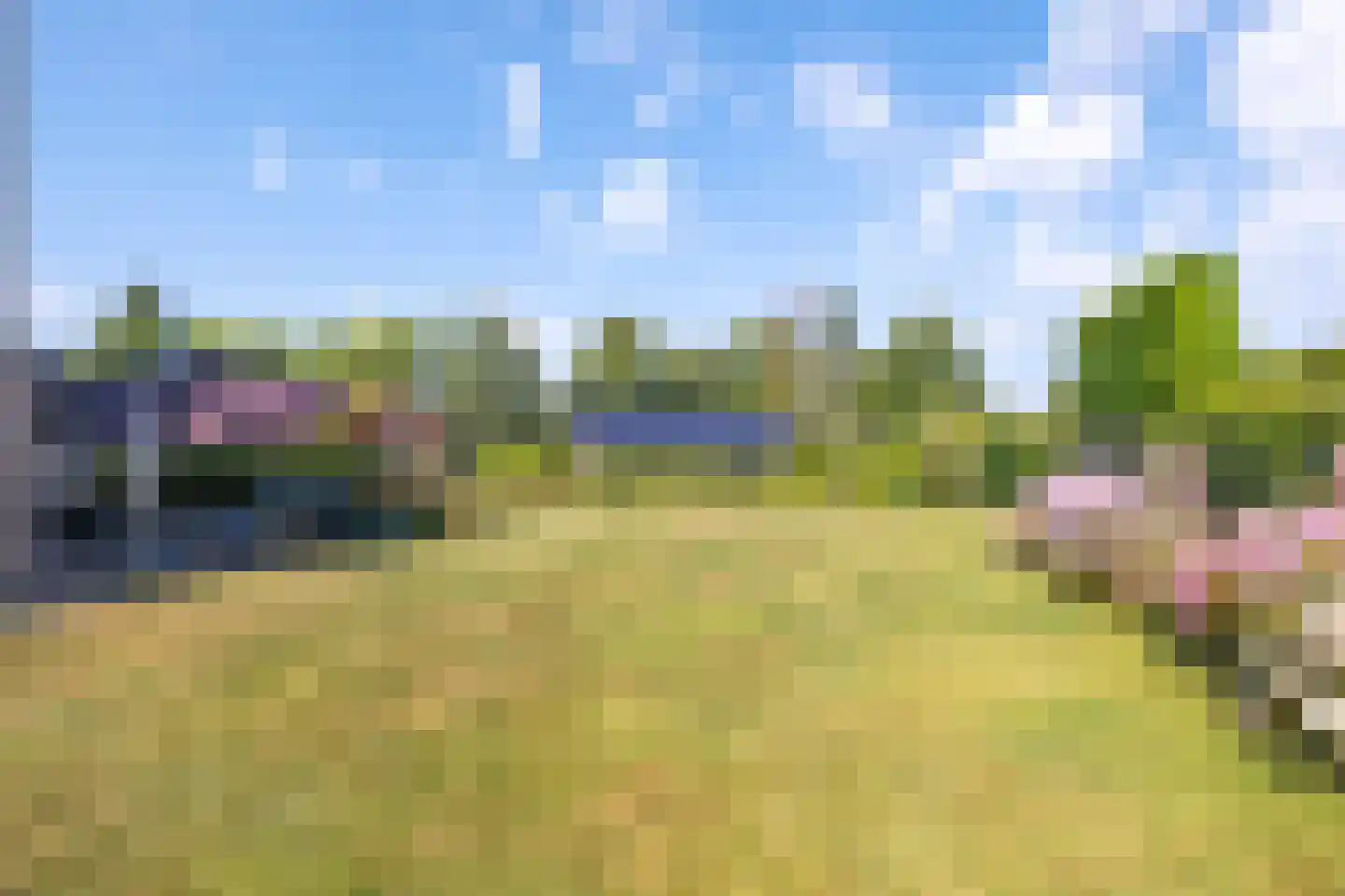 Jonker Egbert Clantsngl 2 Harkstede thumbnail 64