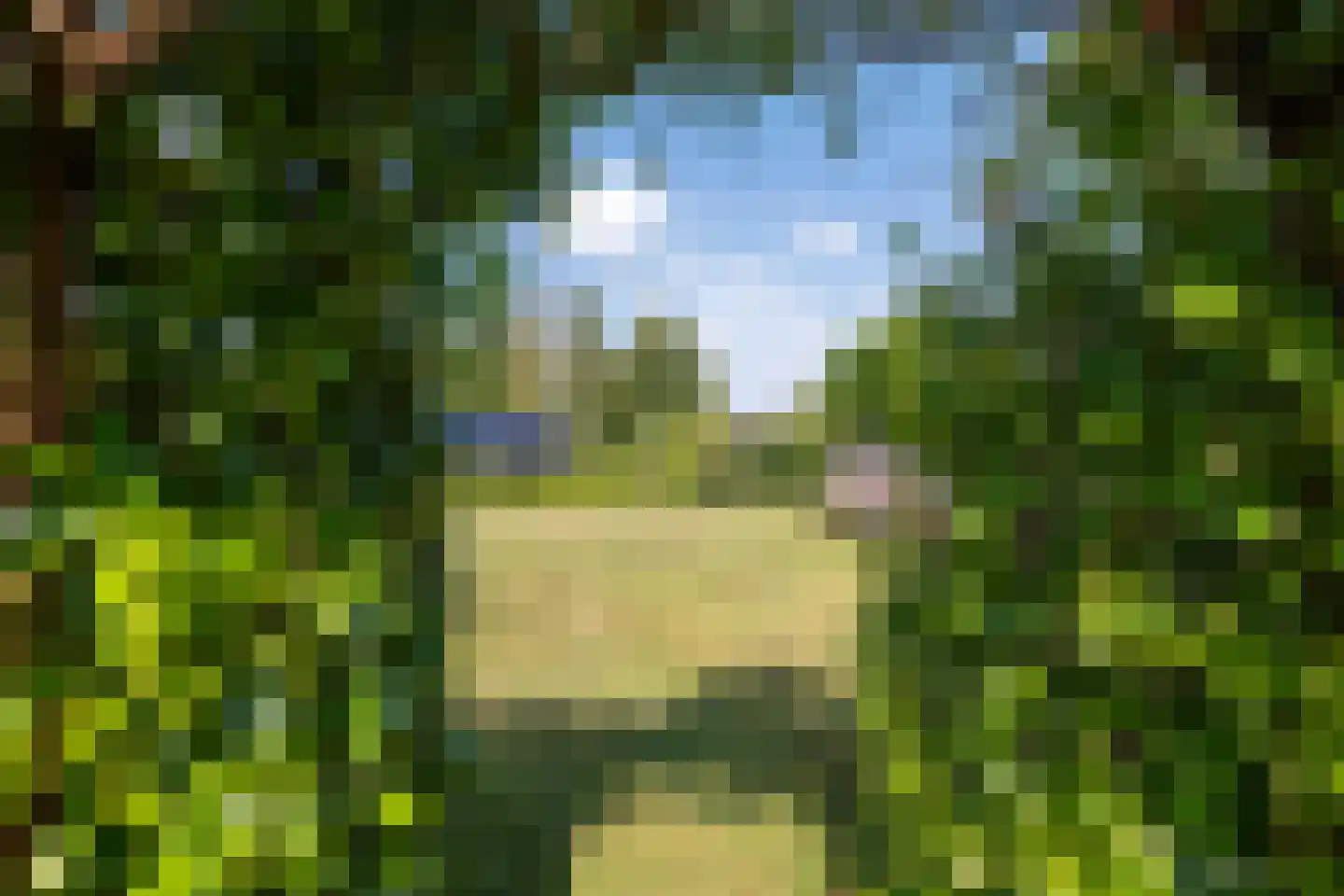 Jonker Egbert Clantsngl 2 Harkstede thumbnail 68