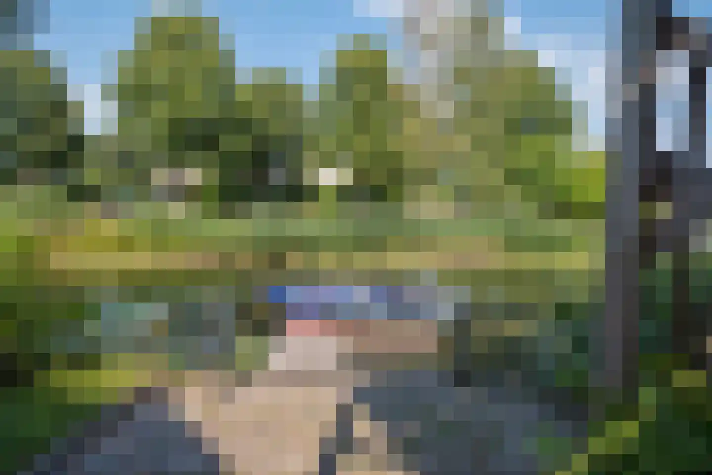 Jonker Egbert Clantsngl 2 Harkstede thumbnail 71