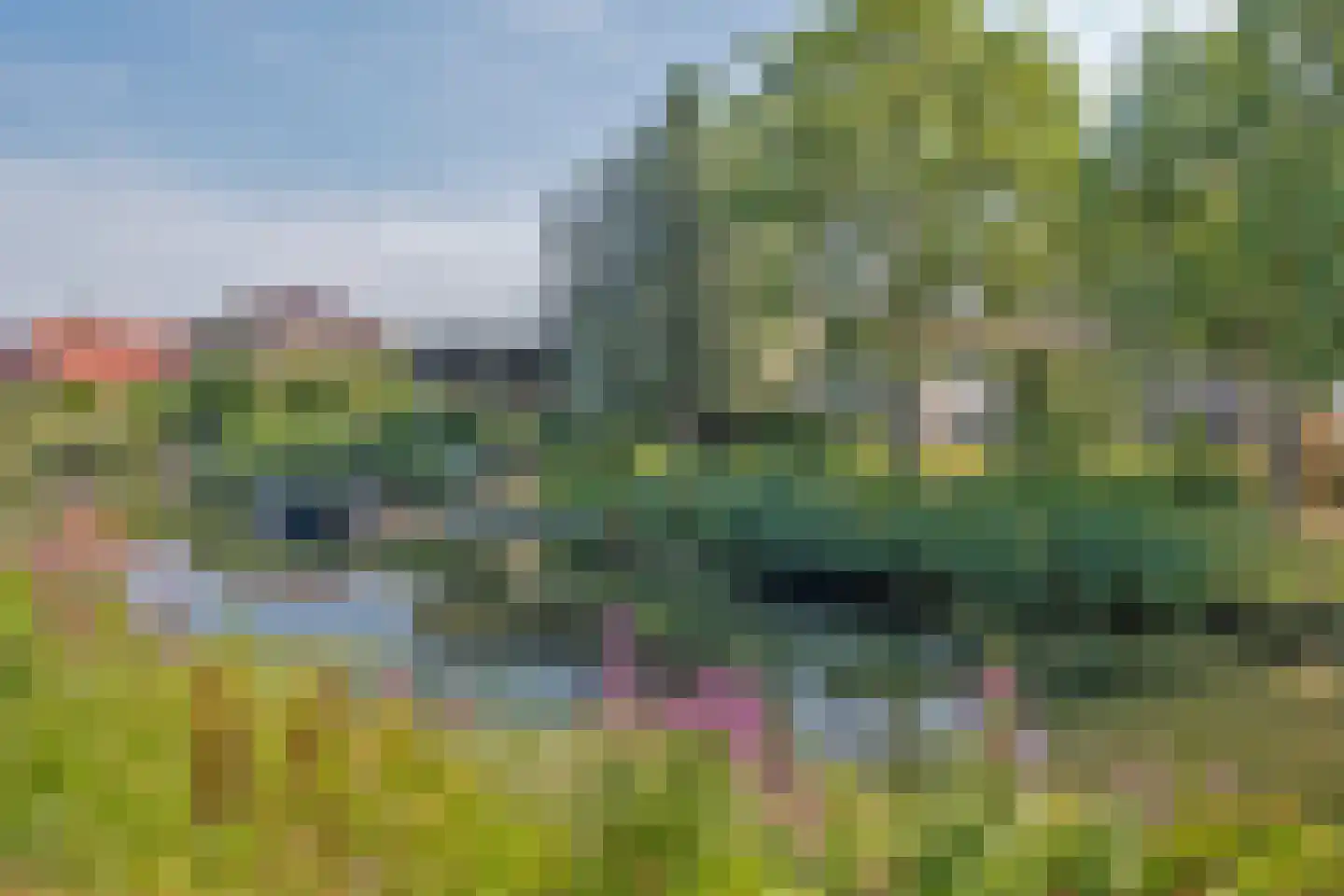 Jonker Egbert Clantsngl 2 Harkstede thumbnail 74
