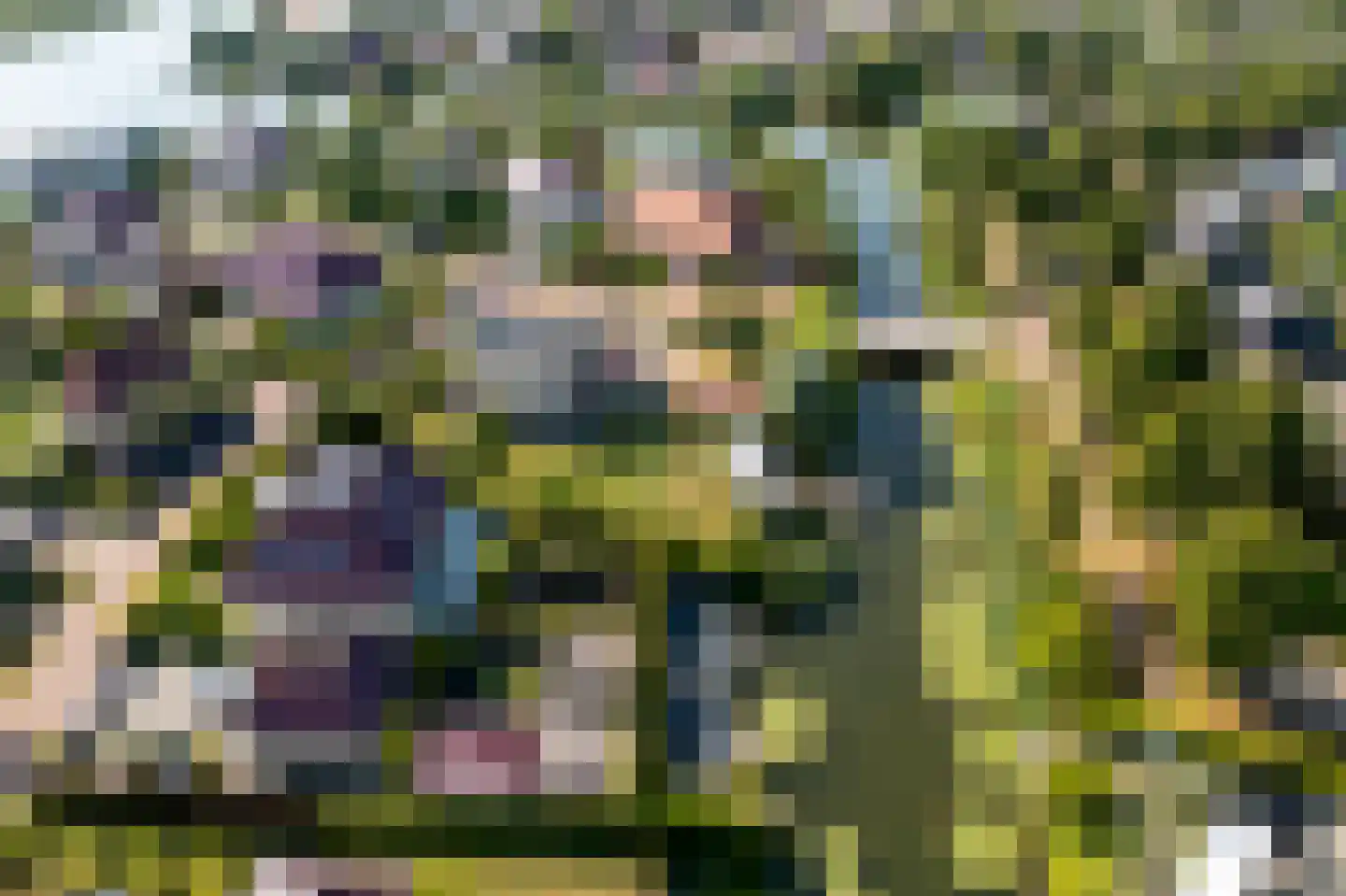 Jonker Egbert Clantsngl 2 Harkstede thumbnail 78