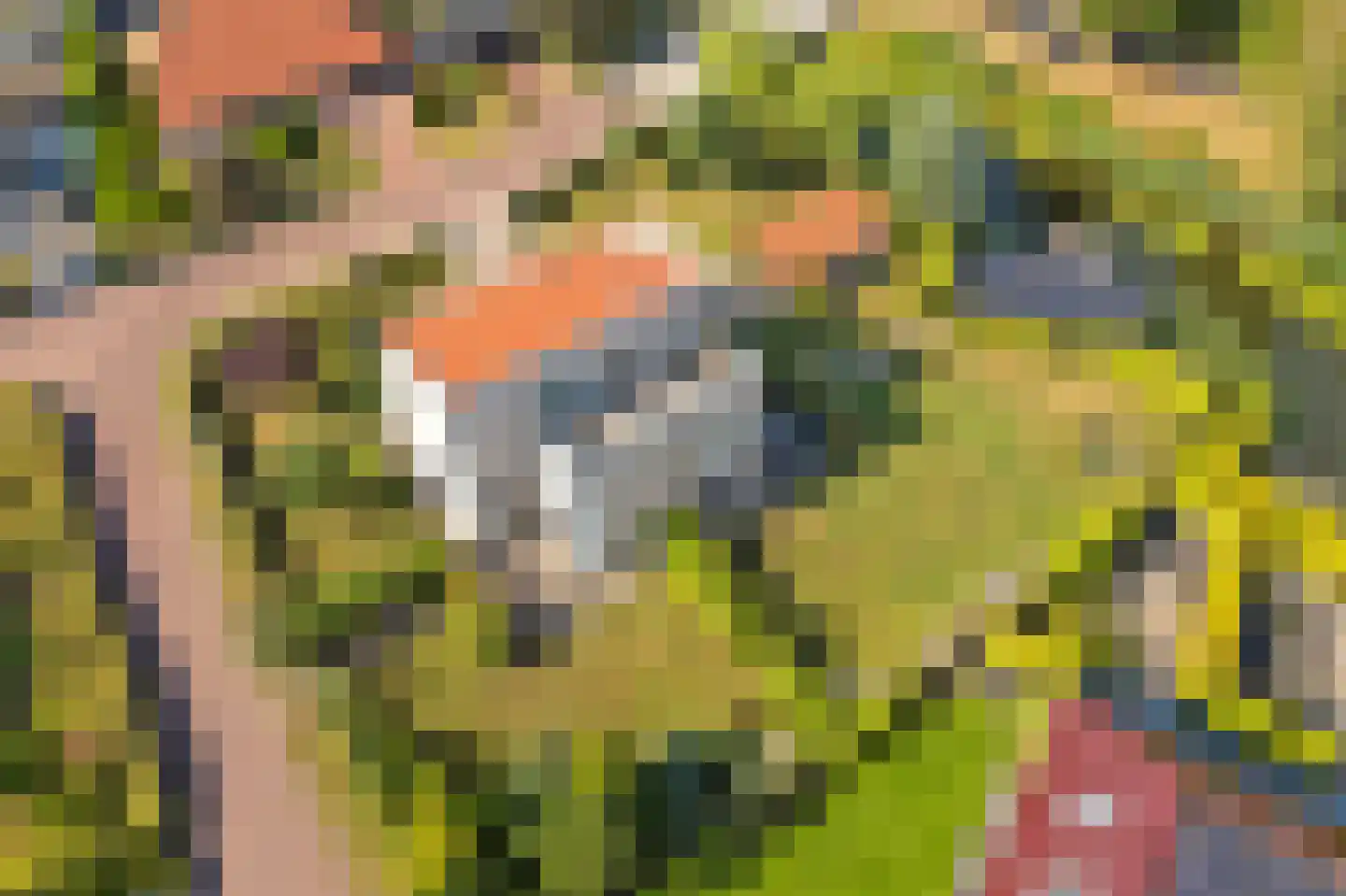 Jonker Egbert Clantsngl 2 Harkstede thumbnail 79