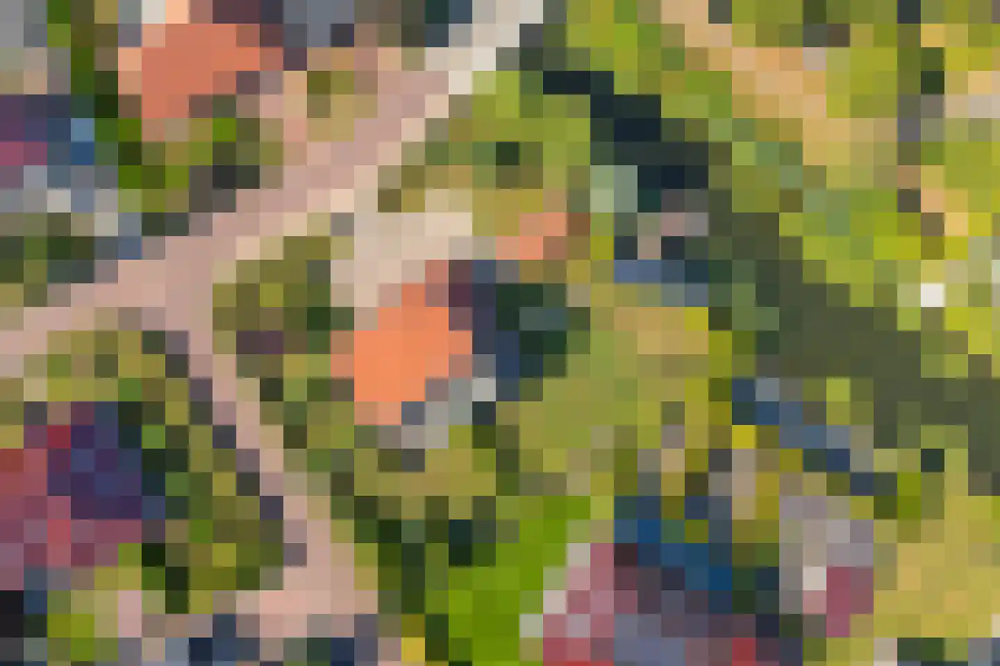 Jonker Egbert Clantsngl 2 Harkstede thumbnail 80