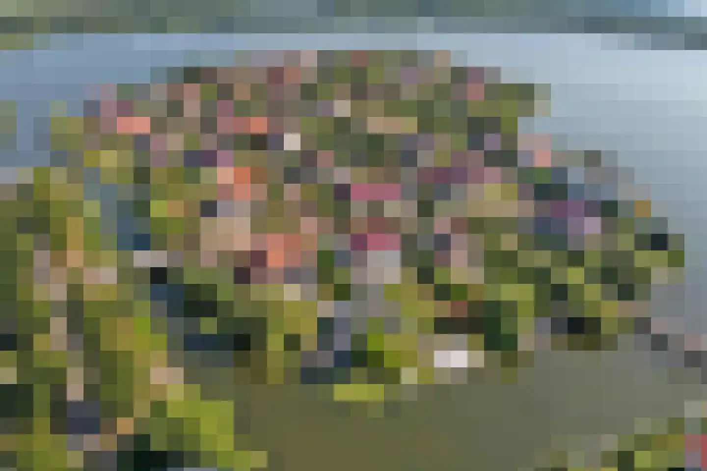 Jonker Egbert Clantsngl 2 Harkstede thumbnail 81