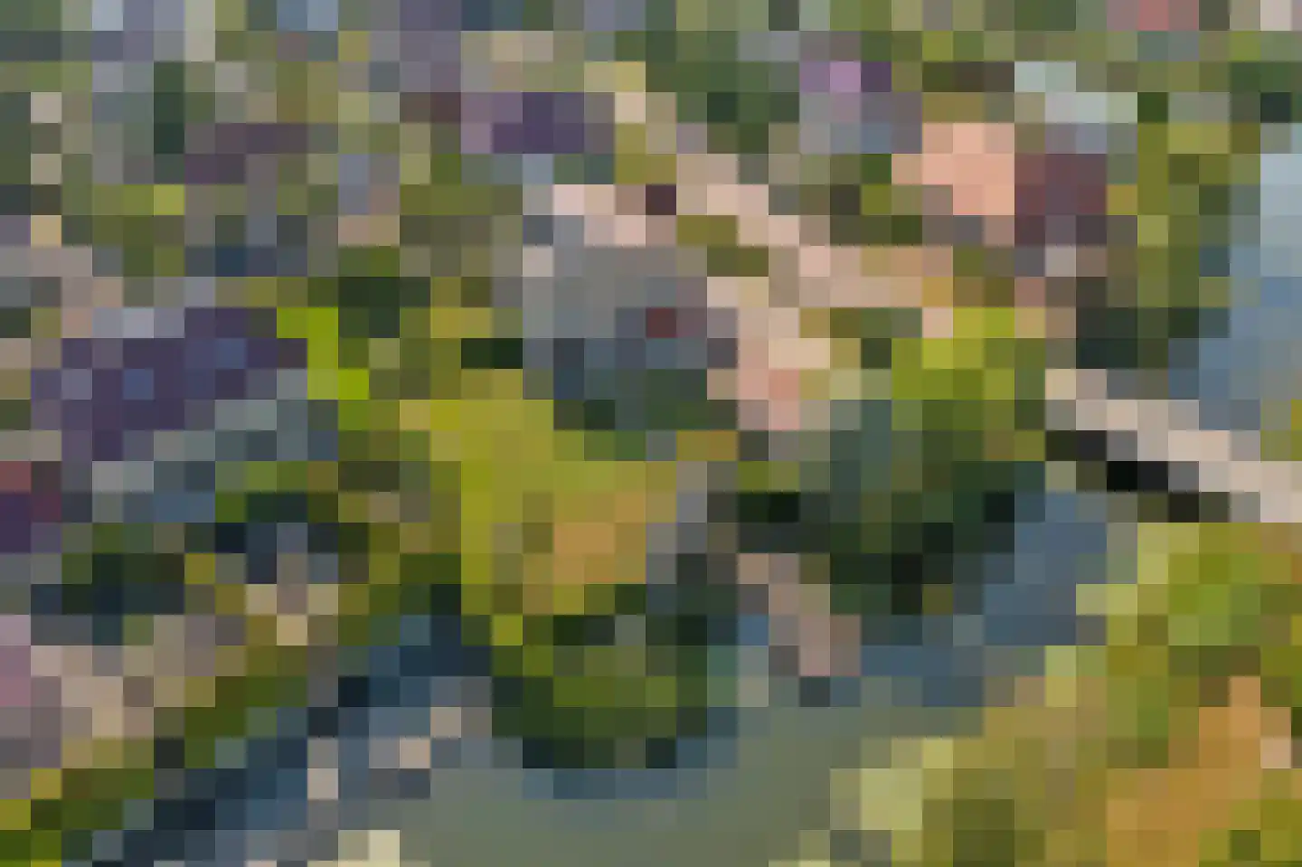 Jonker Egbert Clantsngl 2 Harkstede thumbnail 82