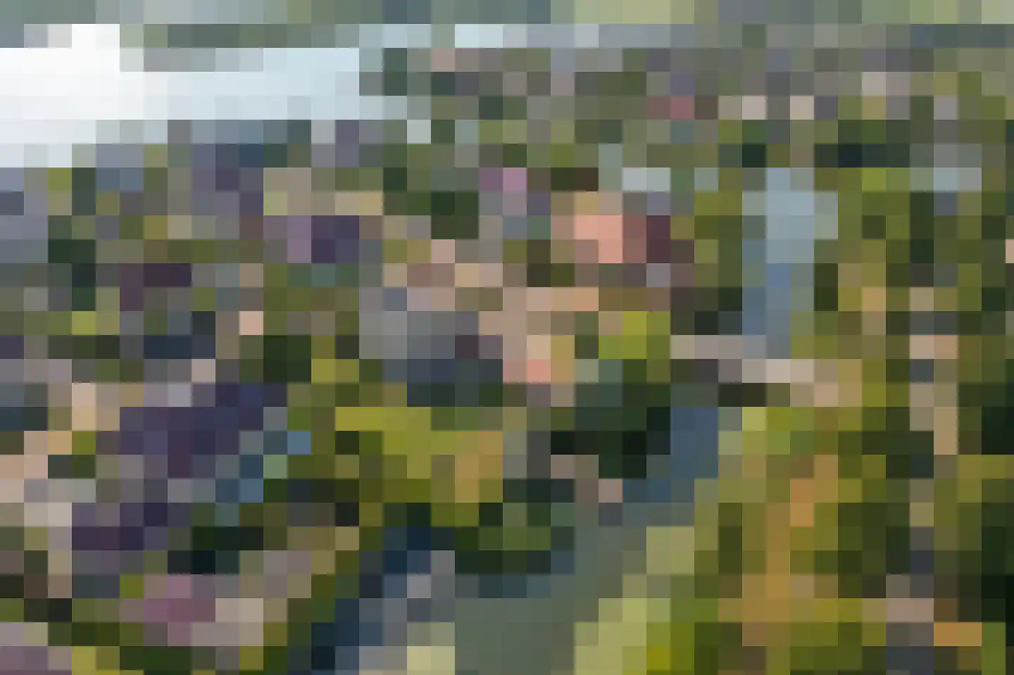 Jonker Egbert Clantsngl 2 Harkstede thumbnail 84