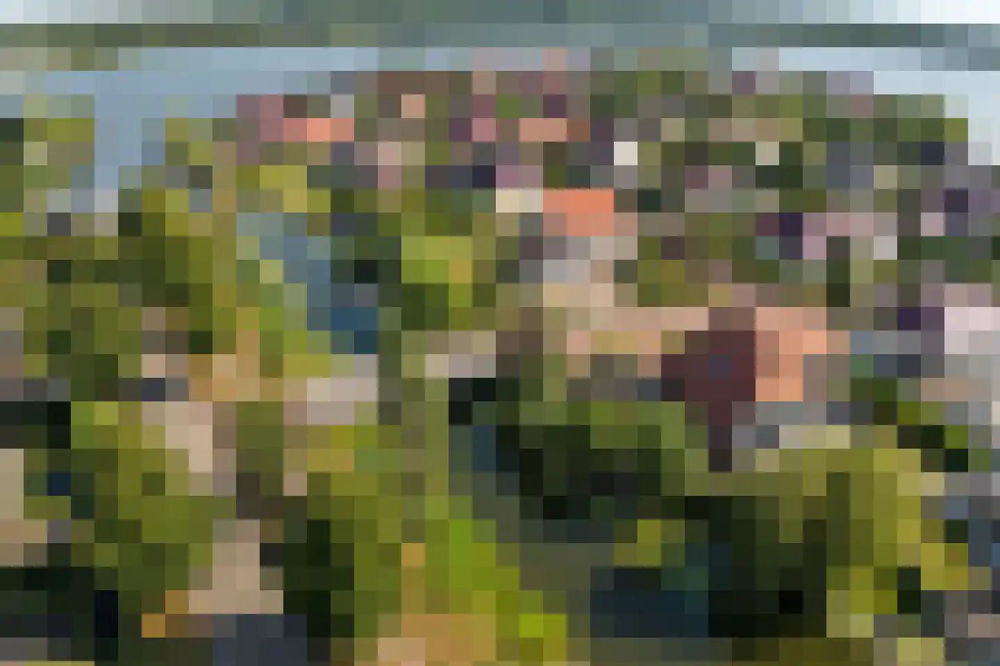 Jonker Egbert Clantsngl 2 Harkstede thumbnail 85