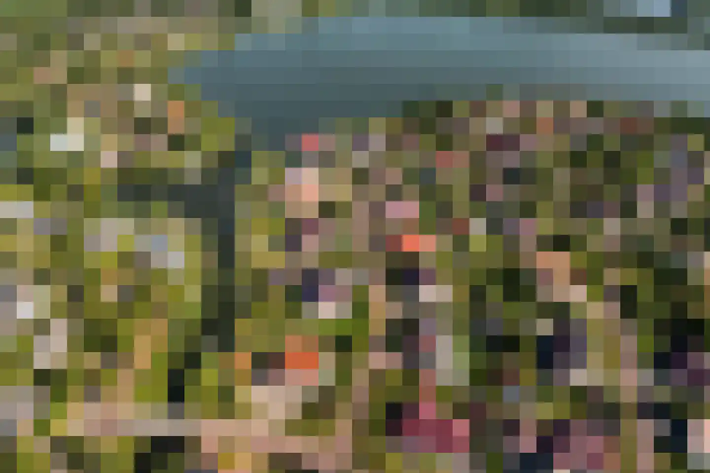 Jonker Egbert Clantsngl 2 Harkstede thumbnail 86