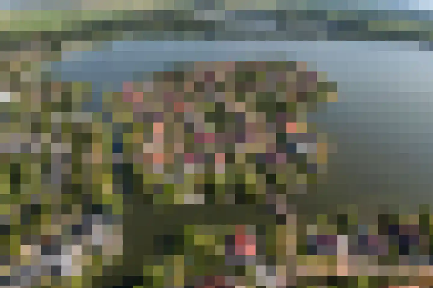 Jonker Egbert Clantsngl 2 Harkstede thumbnail 87