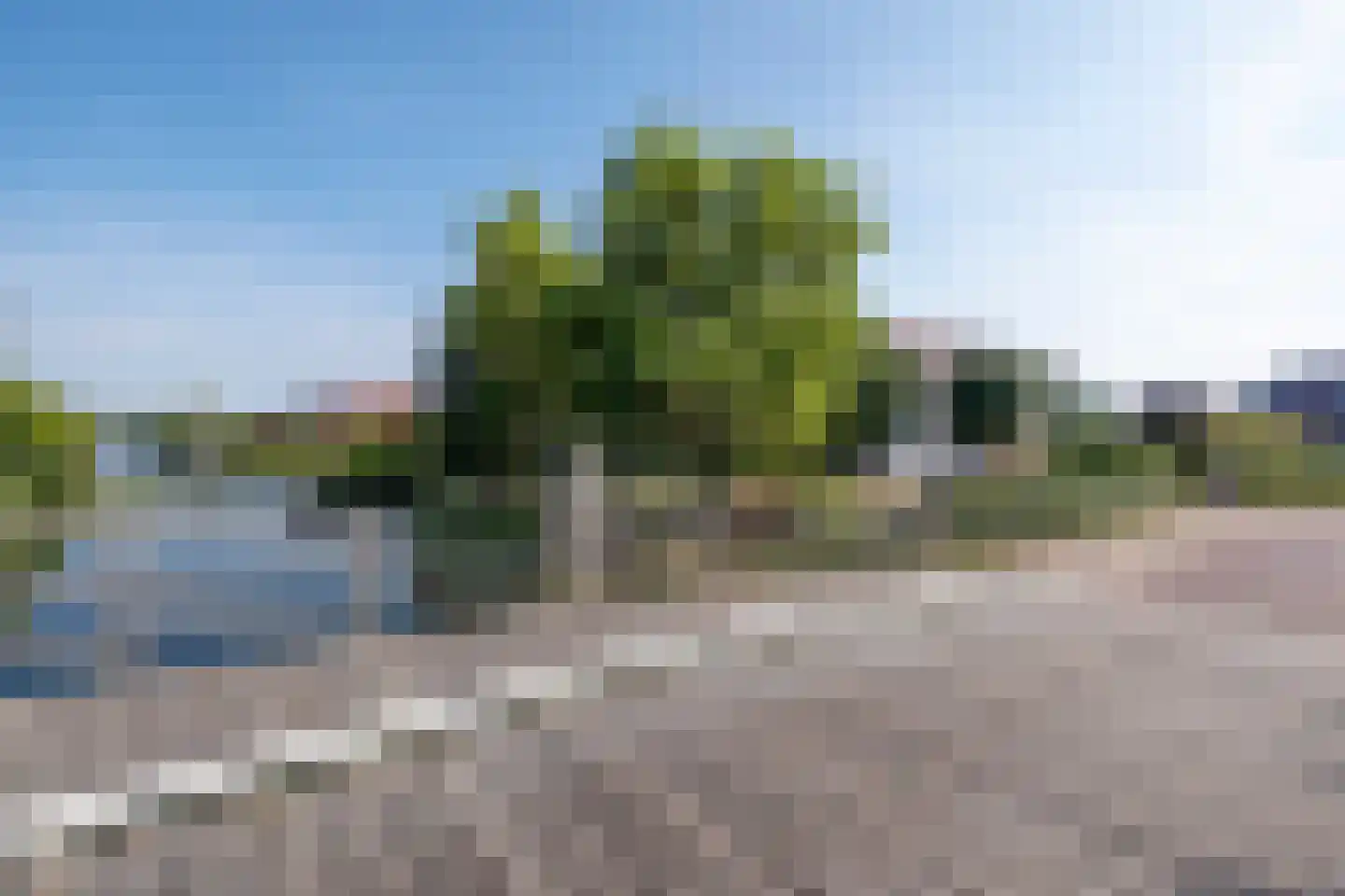 Jonker Egbert Clantsngl 2 Harkstede thumbnail 88
