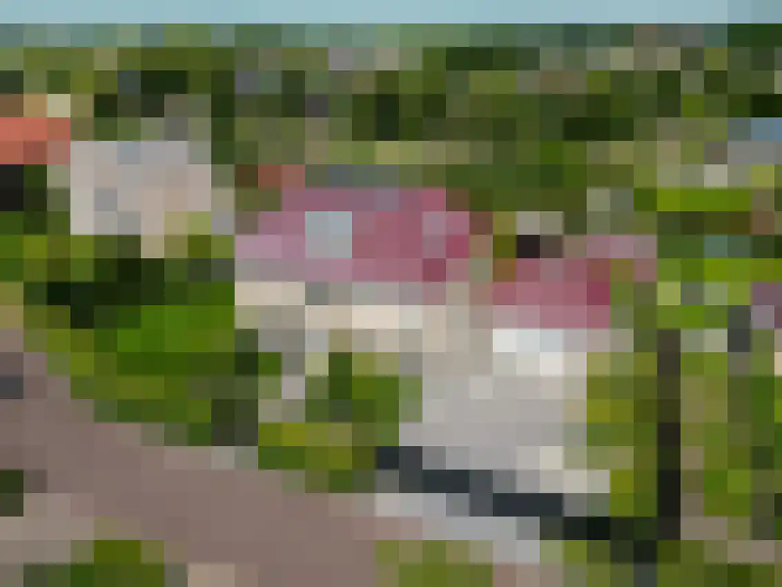 Jonker Egbert Clantsngl 4 Harkstede thumbnail 115