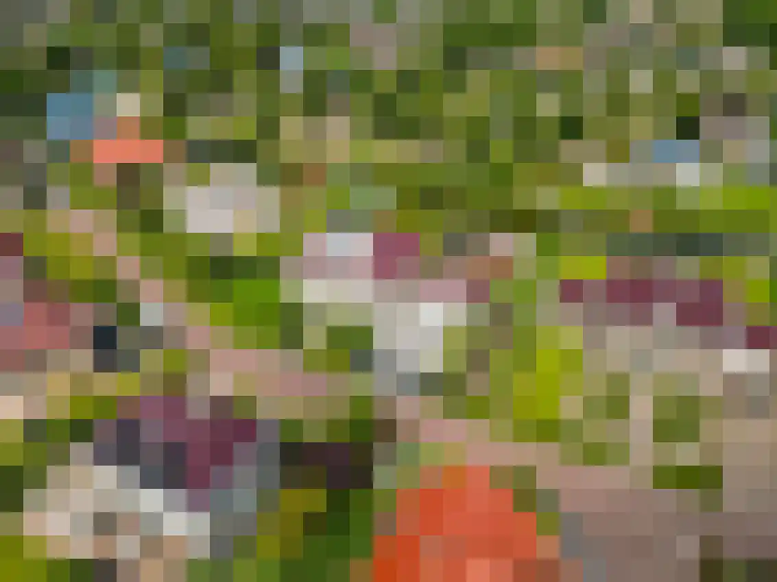 Jonker Egbert Clantsngl 4 Harkstede thumbnail 121