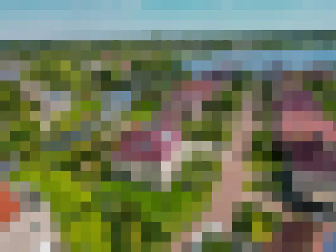 Jonker Egbert Clantsngl 4 Harkstede thumbnail 123