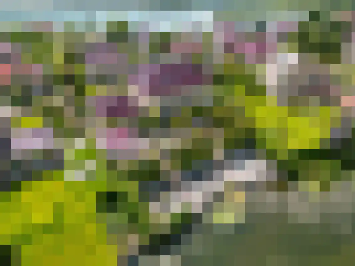 Jonker Egbert Clantsngl 4 Harkstede thumbnail 124