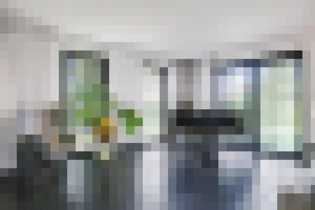 Jonker Egbert Clantsngl 4 Harkstede thumbnail 23