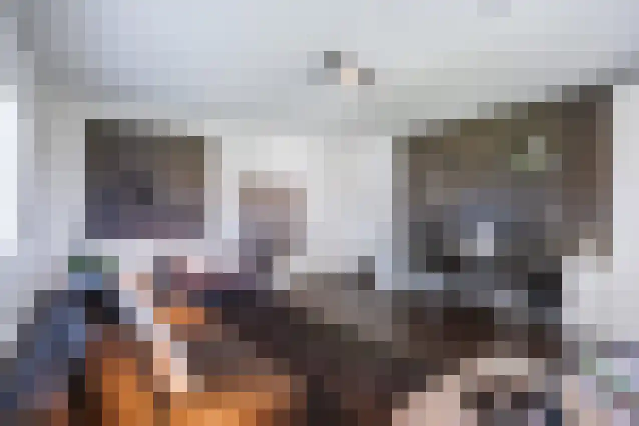 Jonker Egbert Clantsngl 4 Harkstede thumbnail 59