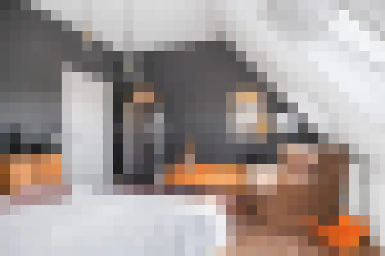 Jonker Egbert Clantsngl 4 Harkstede thumbnail 66