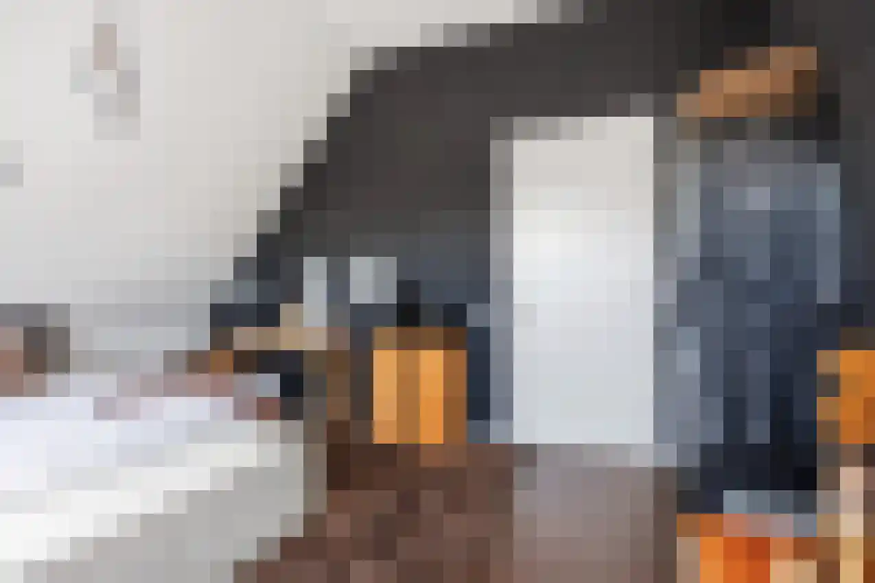 Jonker Egbert Clantsngl 4 Harkstede thumbnail 67