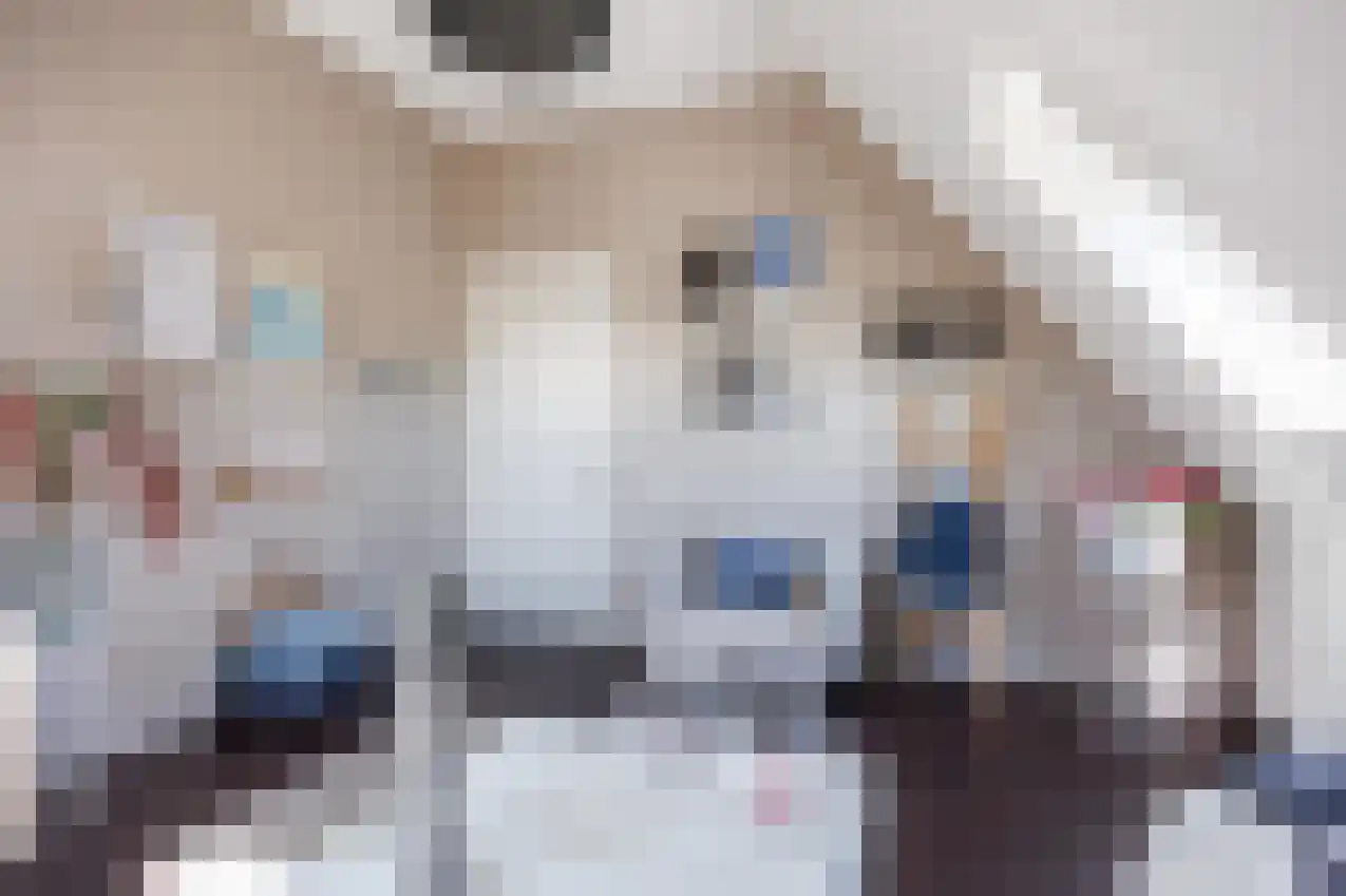 Jonker Egbert Clantsngl 4 Harkstede thumbnail 69