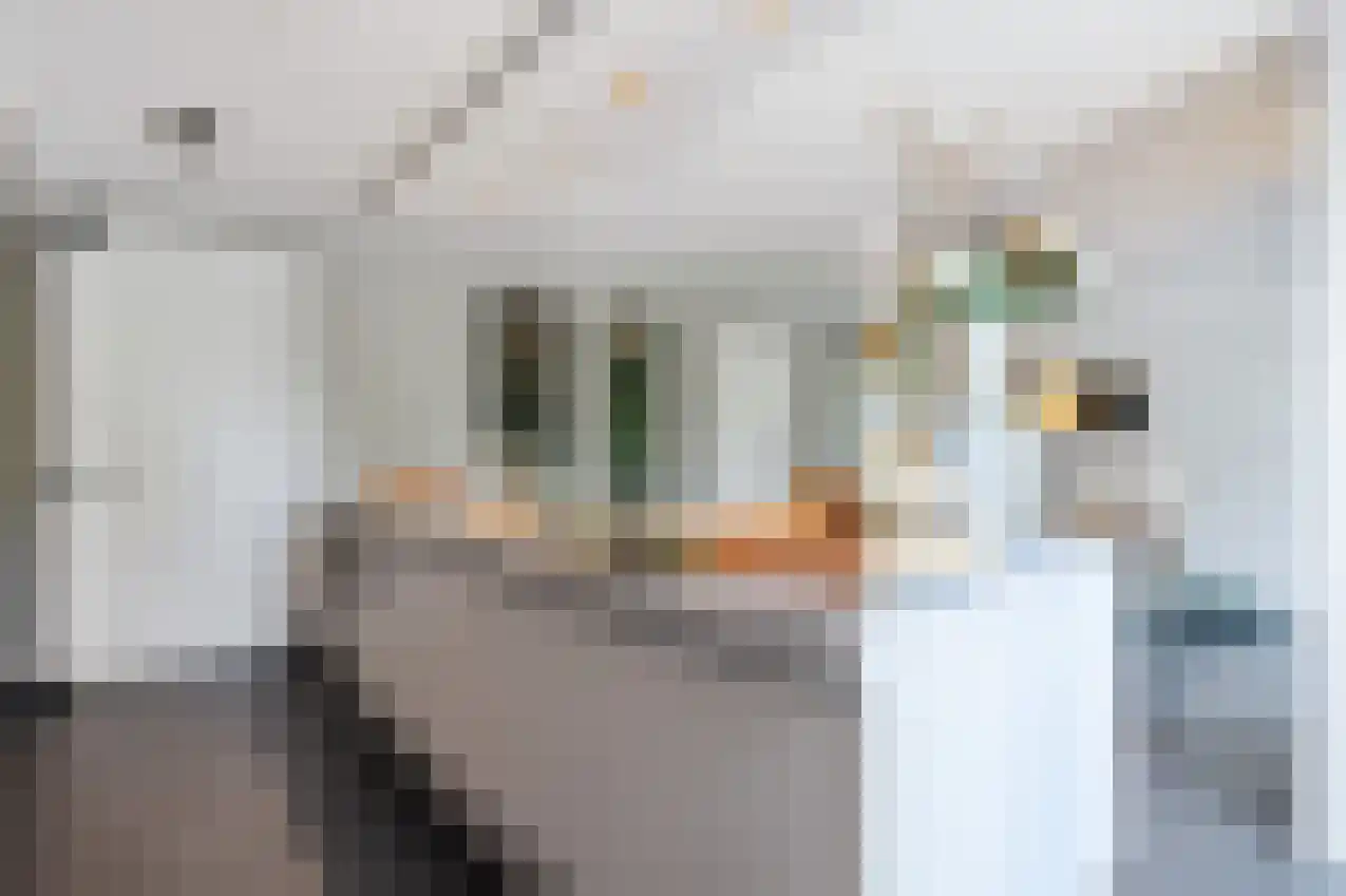 Jonker Egbert Clantsngl 4 Harkstede thumbnail 7
