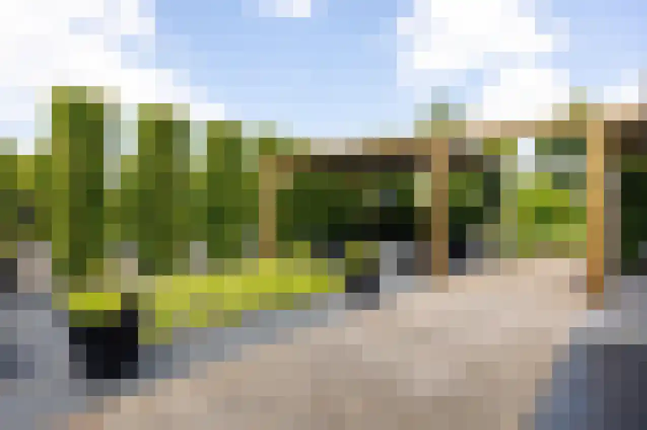 Jonker Egbert Clantsngl 4 Harkstede thumbnail 91
