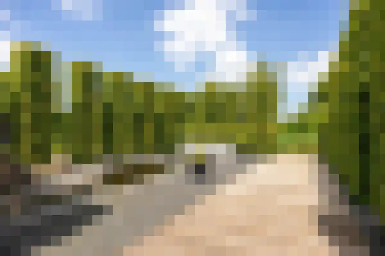 Jonker Egbert Clantsngl 4 Harkstede thumbnail 97