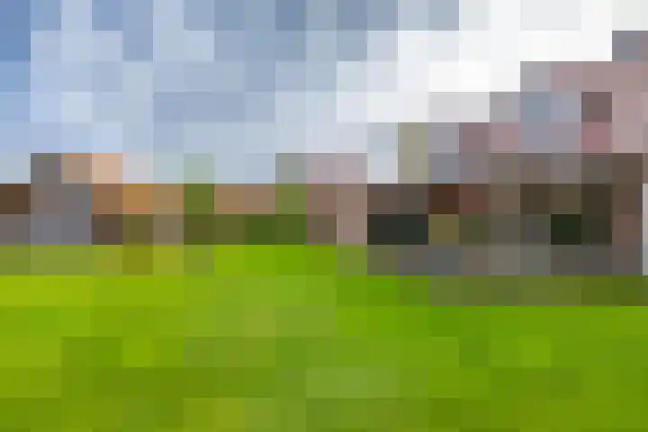 Jonker Egbert Clantsngl 41 Harkstede thumbnail 36