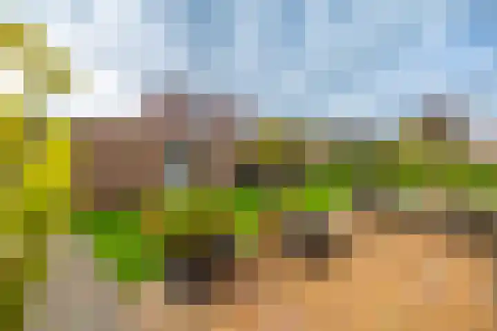 Jonker Egbert Clantsngl 41 Harkstede thumbnail 37