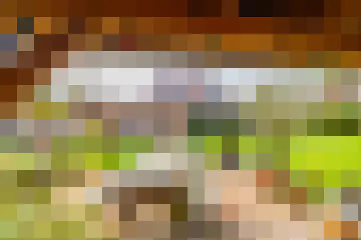 Jonker Egbert Clantsngl 41 Harkstede thumbnail 38