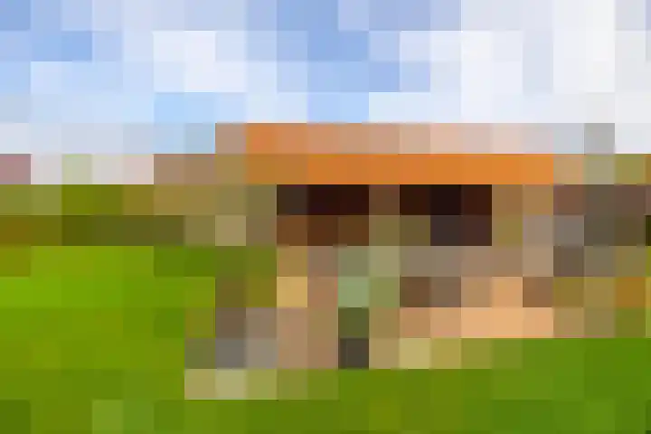Jonker Egbert Clantsngl 41 Harkstede thumbnail 39