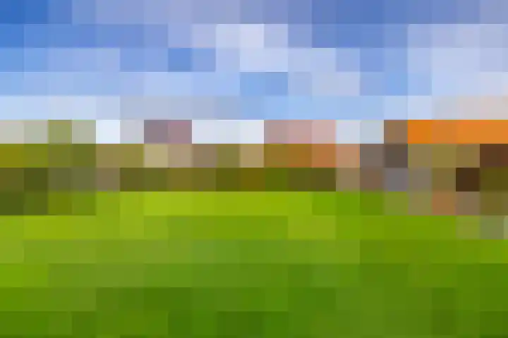 Jonker Egbert Clantsngl 41 Harkstede thumbnail 42
